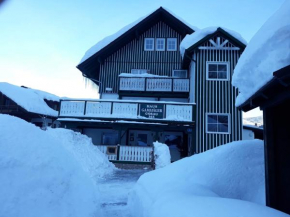 Der Gamsjäger, Gosau, Österreich